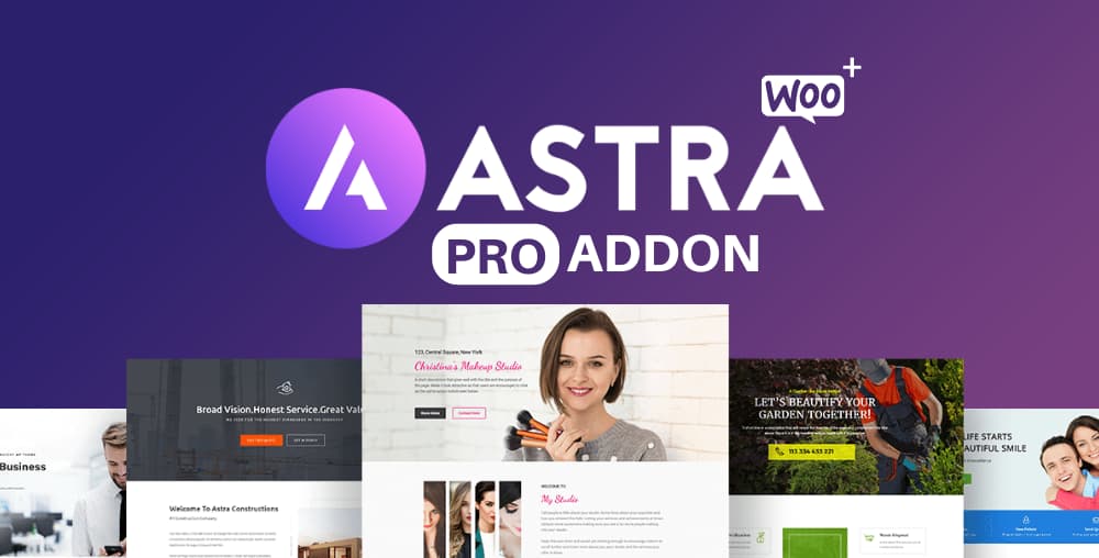 Premium Subscription, WP Plugin, Themes ASTRA PRO ADDON ILM Store