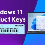 Windows 11 Pro [KEY] in Nepal
